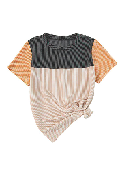 Light Blue Rib Textured Colorblock Round Neck T Shirt